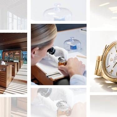 rolex sustainability report